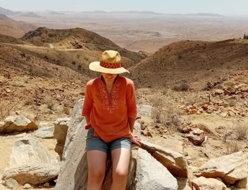 Discovering Namibia: An Adventure Through Deserts, Dunes and Animals