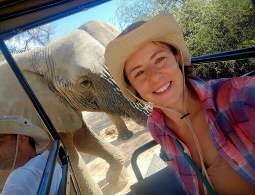 Etosha National Park: A Wild Masterpiece That Will Steal Your Heart